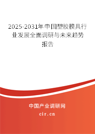 2025-2031年中國塑膠模具行業(yè)發(fā)展全面調(diào)研與未來趨勢報告