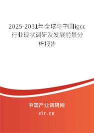 2025-2031年全球與中國igcc行業(yè)現(xiàn)狀調研及發(fā)展前景分析報告